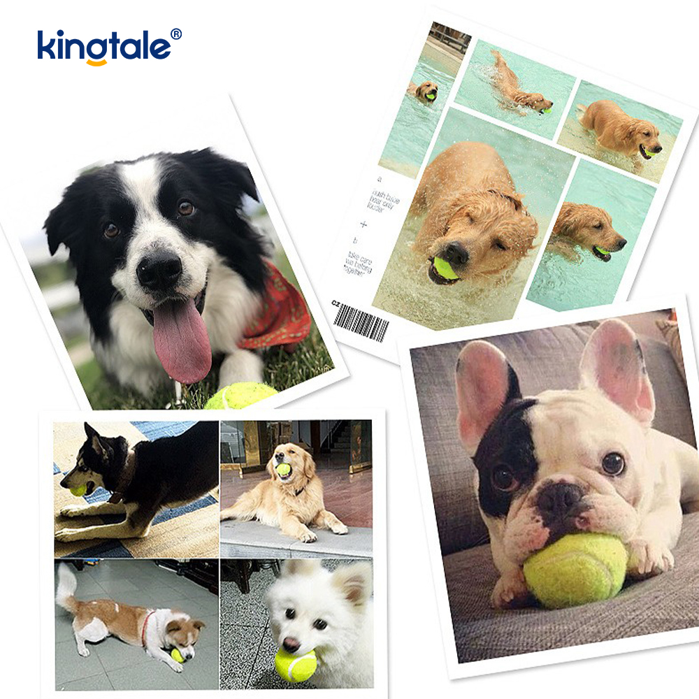 Pet Toy Tennis Slitesterk og bitebestandig for Pet Chew Exercise Interactive