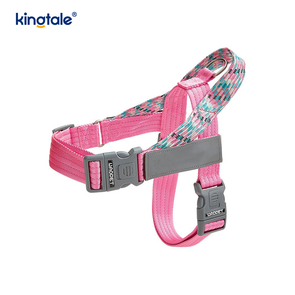 Utviklet Braid Nylon Webbing Highlight Reflekterende Hundesele