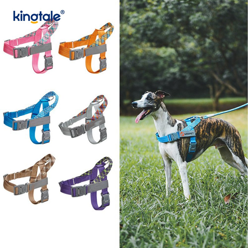 Utviklet Braid Nylon Webbing Highlight Reflekterende Hundesele