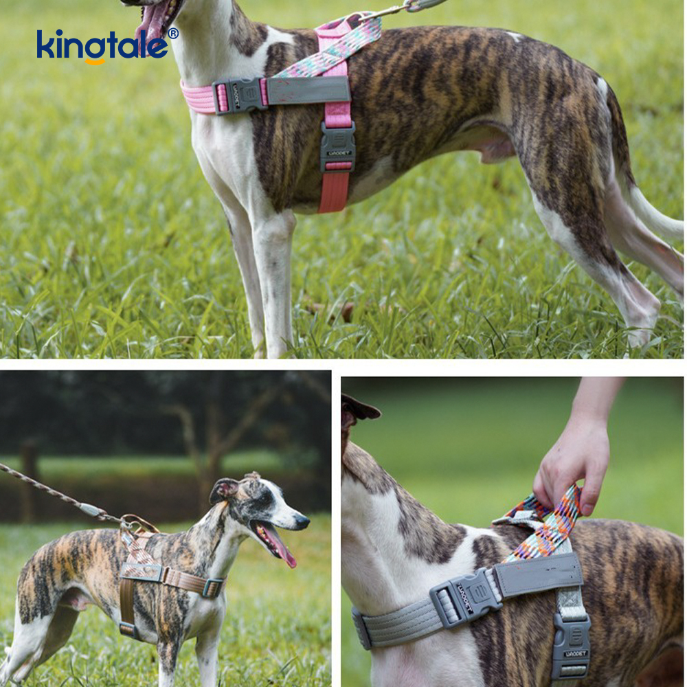 Utviklet Braid Nylon Webbing Highlight Reflekterende Hundesele