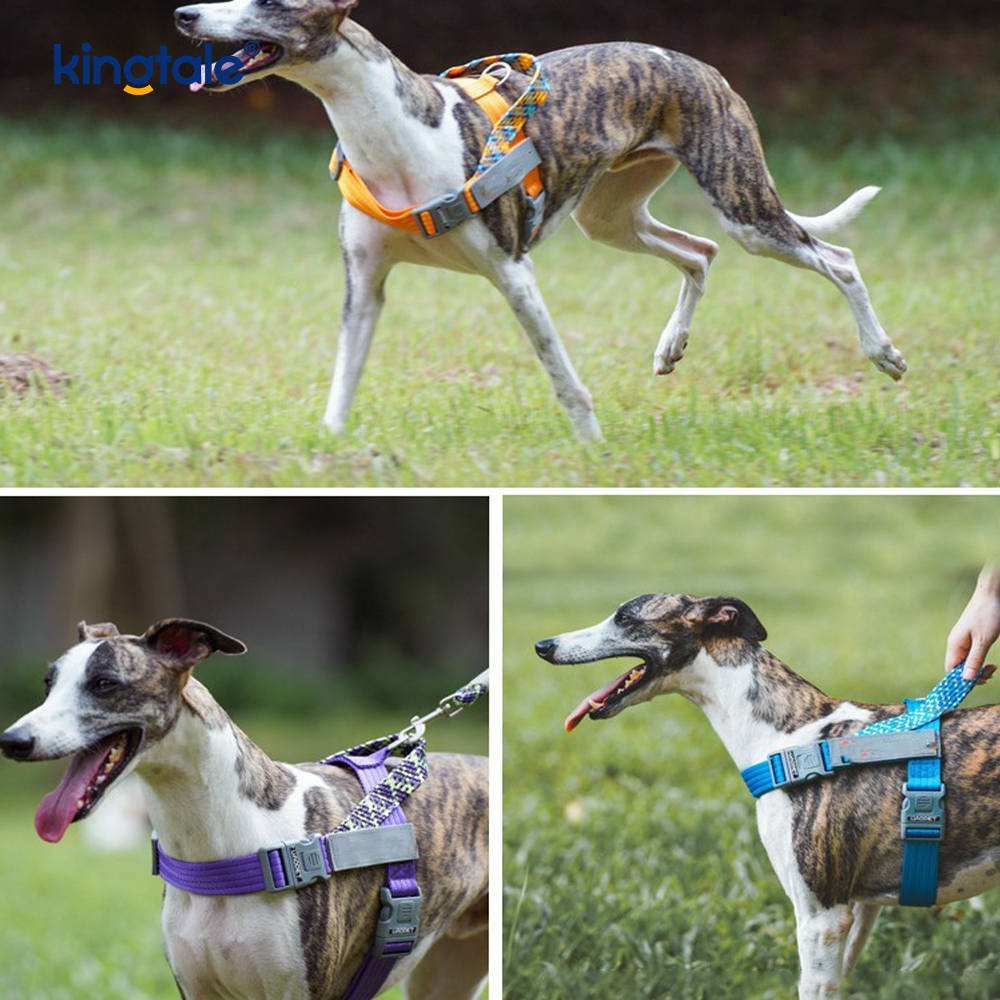 Utviklet Braid Nylon Webbing Highlight Reflekterende Hundesele
