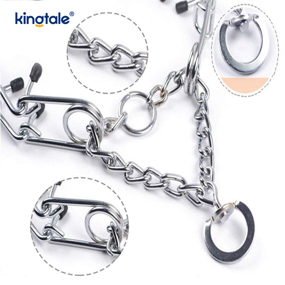 Pet Pinch Choke Halsbånd Carbon Steel Metal Prong Hundetreningshalsbånd