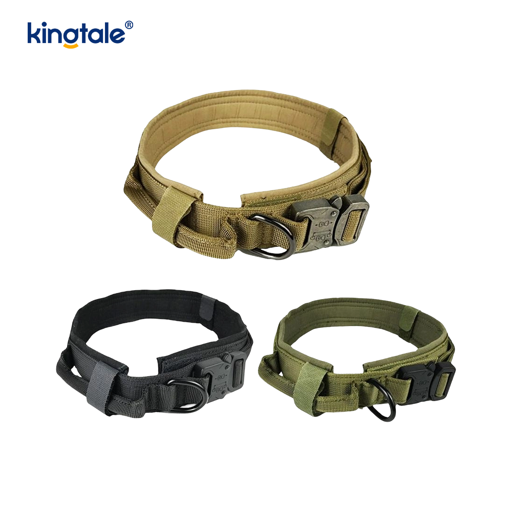 Metallspenne Belte Hundehalsbånd Heavy Duty Hundehalsbånd Heavy Duty