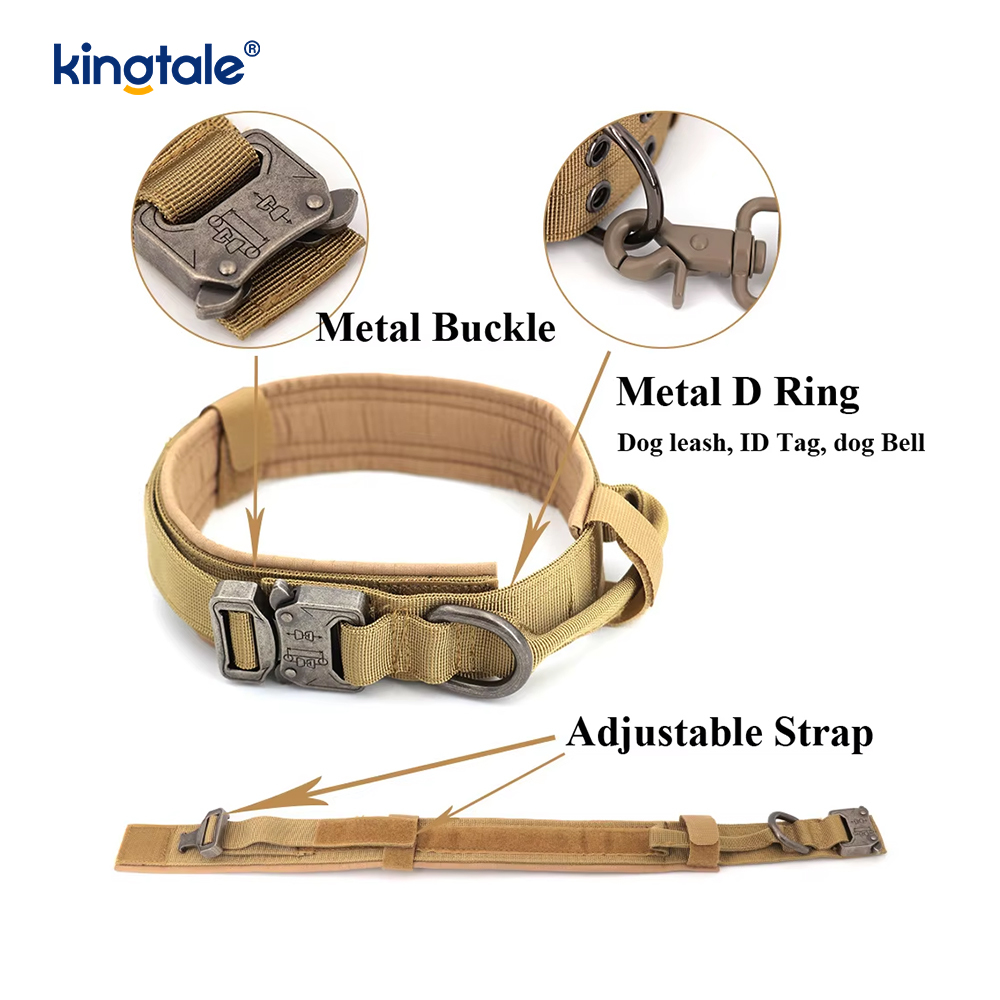 Metallspenne Belte Hundehalsbånd Heavy Duty Hundehalsbånd Heavy Duty