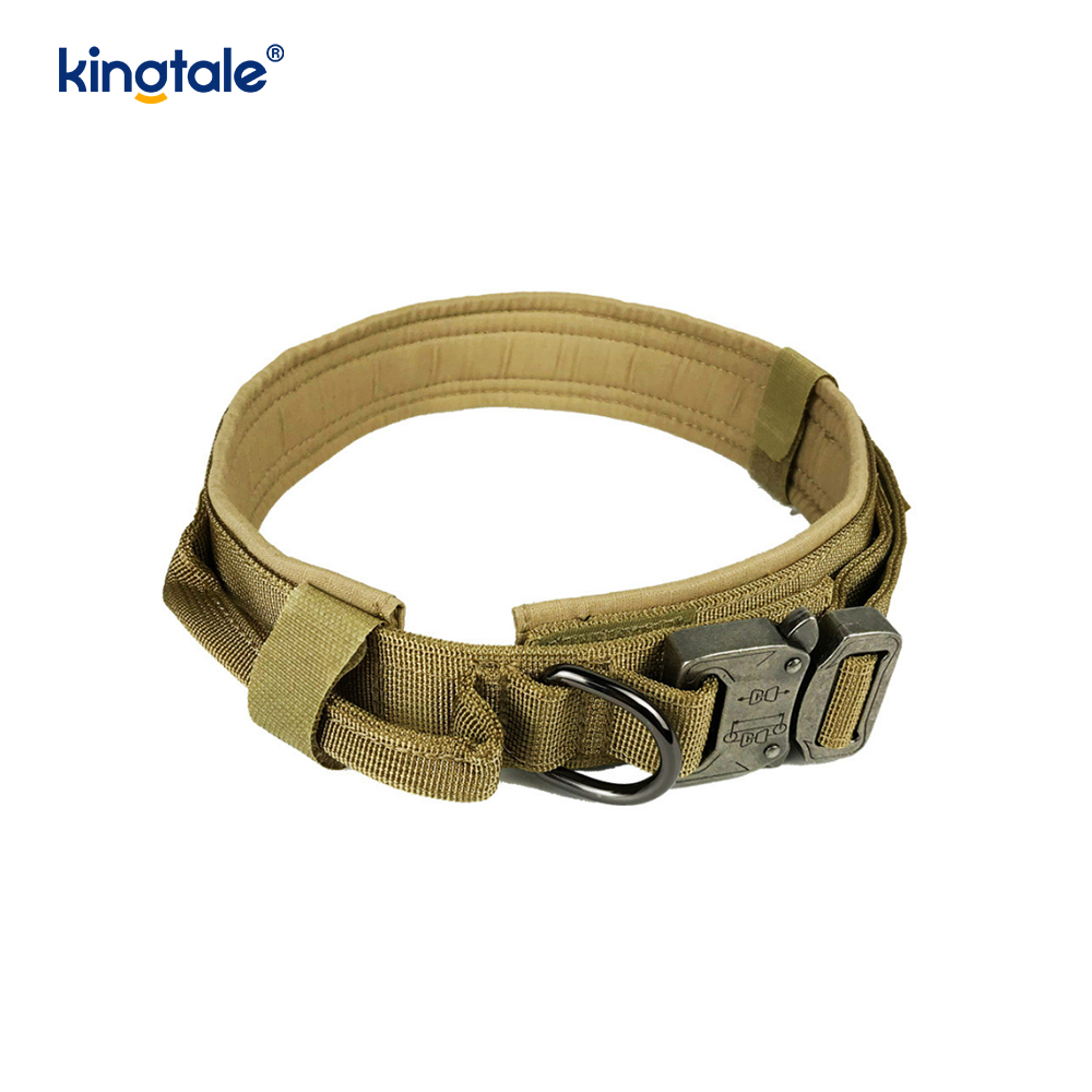 Metallspenne Belte Hundehalsbånd Heavy Duty Hundehalsbånd Heavy Duty