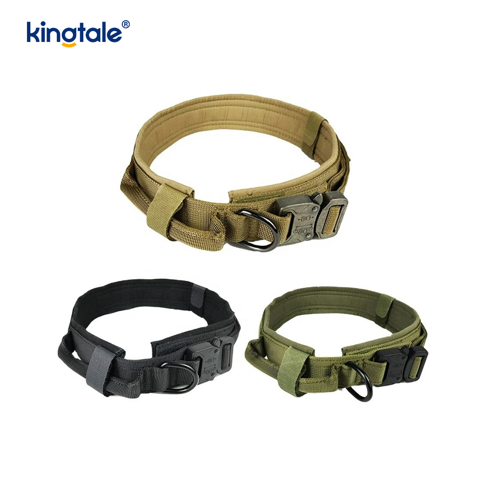 Metallspenne Belte Hundehalsbånd Heavy Duty Hundehalsbånd Heavy Duty