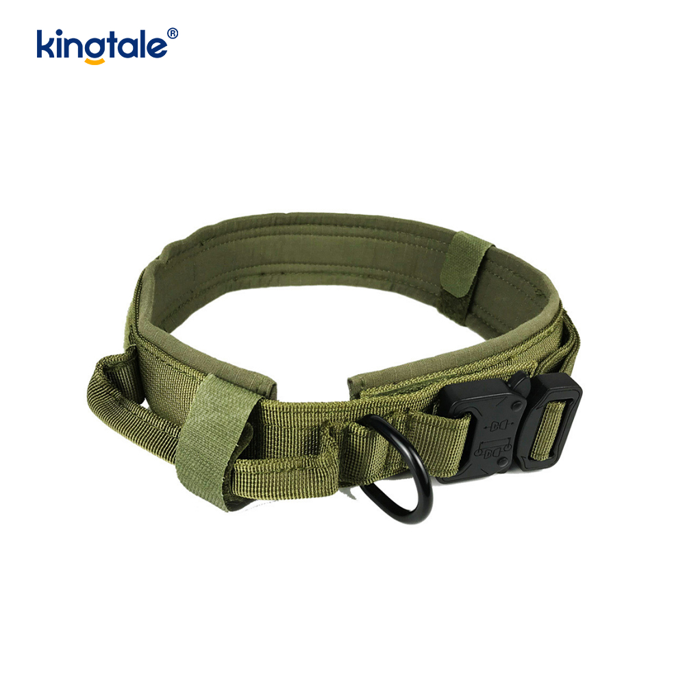 Metallspenne Belte Hundehalsbånd Heavy Duty Hundehalsbånd Heavy Duty