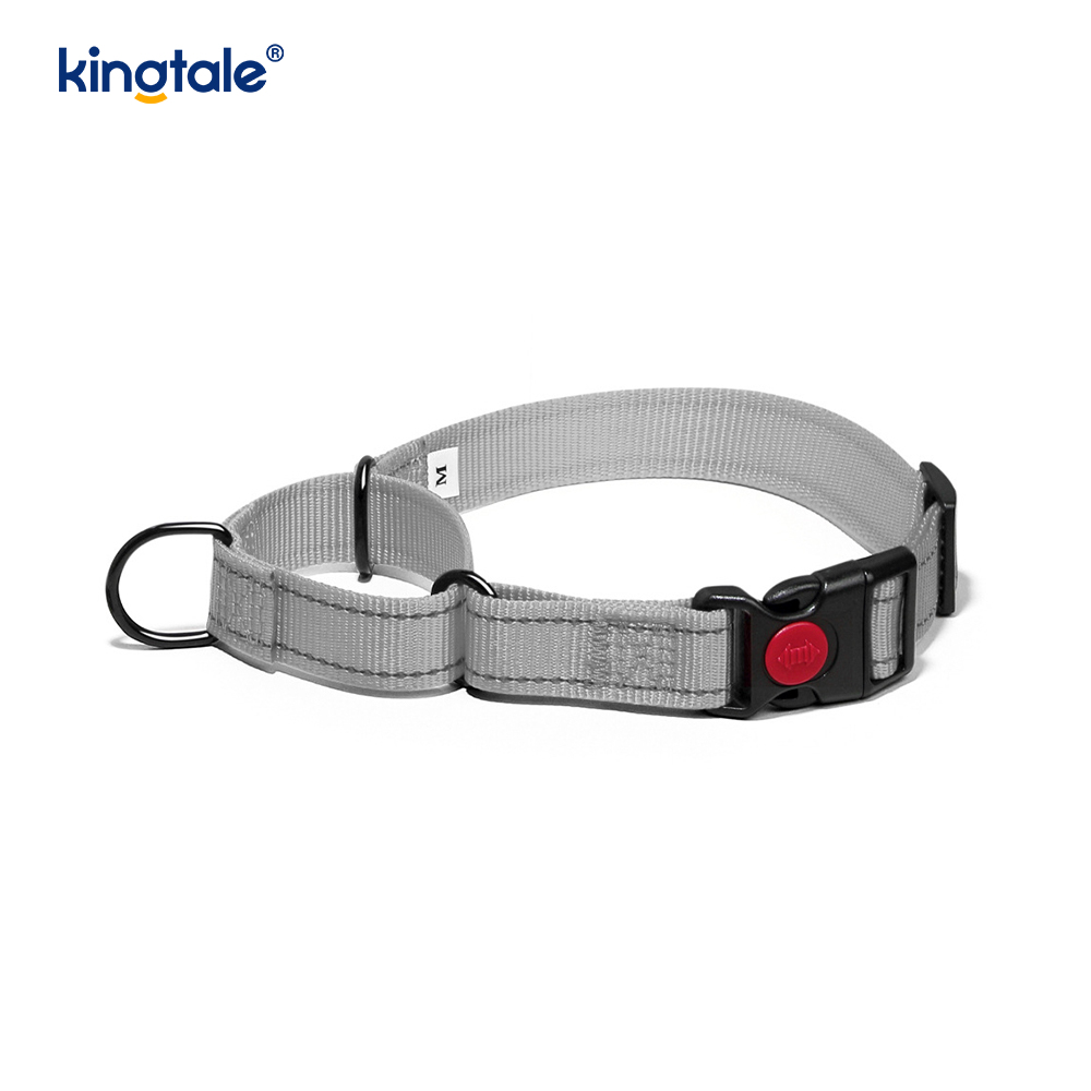 No Pull Reflekterende Justerbar Nylon Martingale Hundehalsbånd For S M A L L Hunder