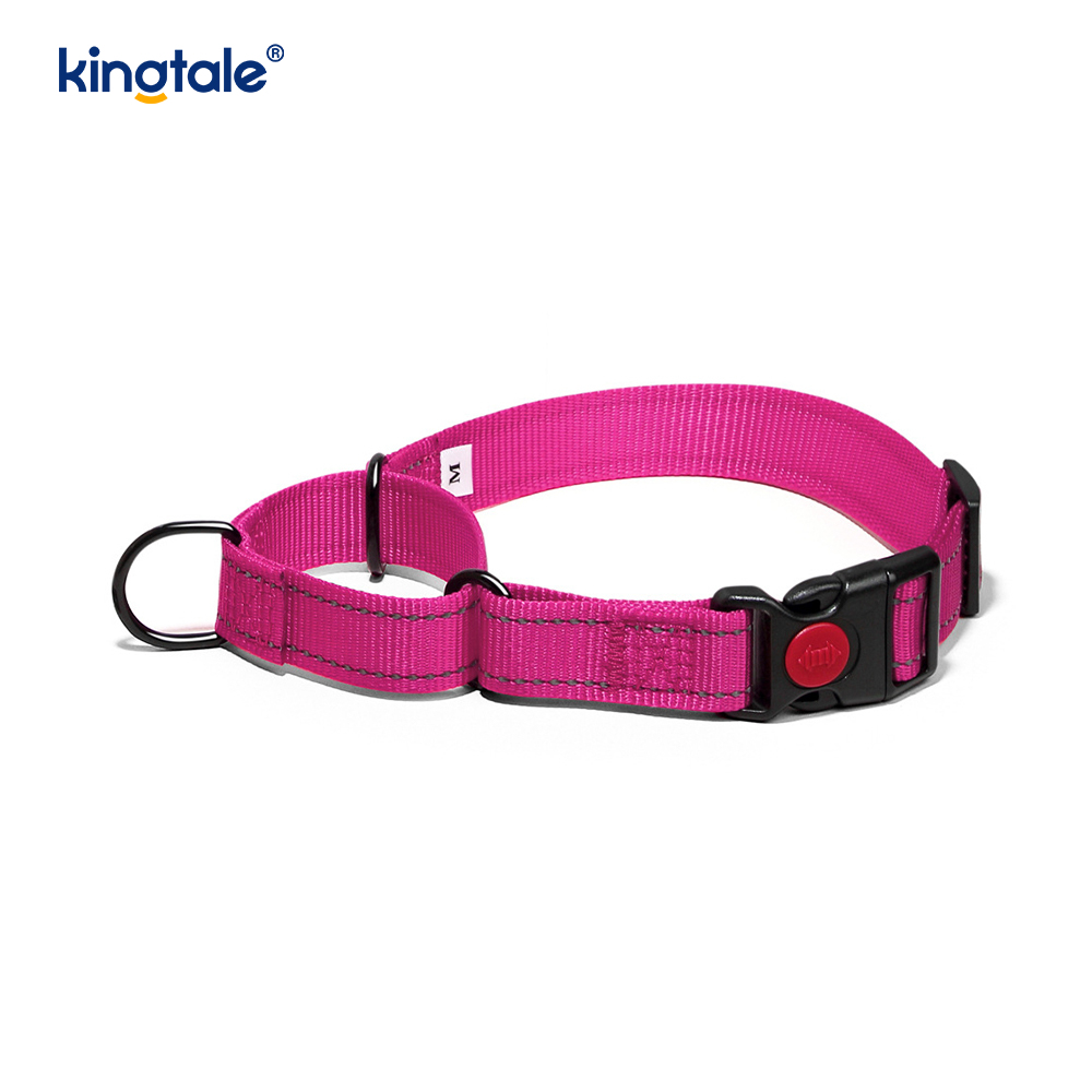 No Pull Reflekterende Justerbar Nylon Martingale Hundehalsbånd For S M A L L Hunder