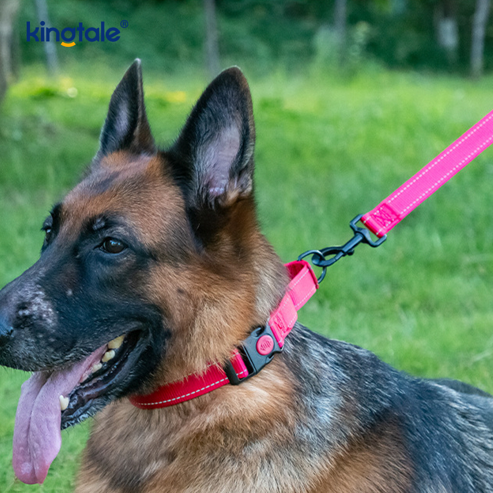 No Pull Reflekterende Justerbar Nylon Martingale Hundehalsbånd For S M A L L Hunder