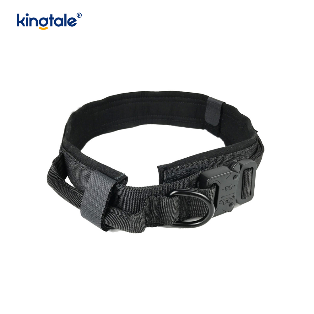 Metallspenne Belte Hundehalsbånd Heavy Duty Hundehalsbånd Heavy Duty