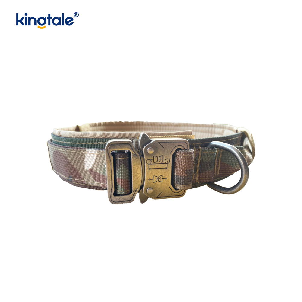 Metallspenne Belte Hundehalsbånd Heavy Duty Hundehalsbånd Heavy Duty
