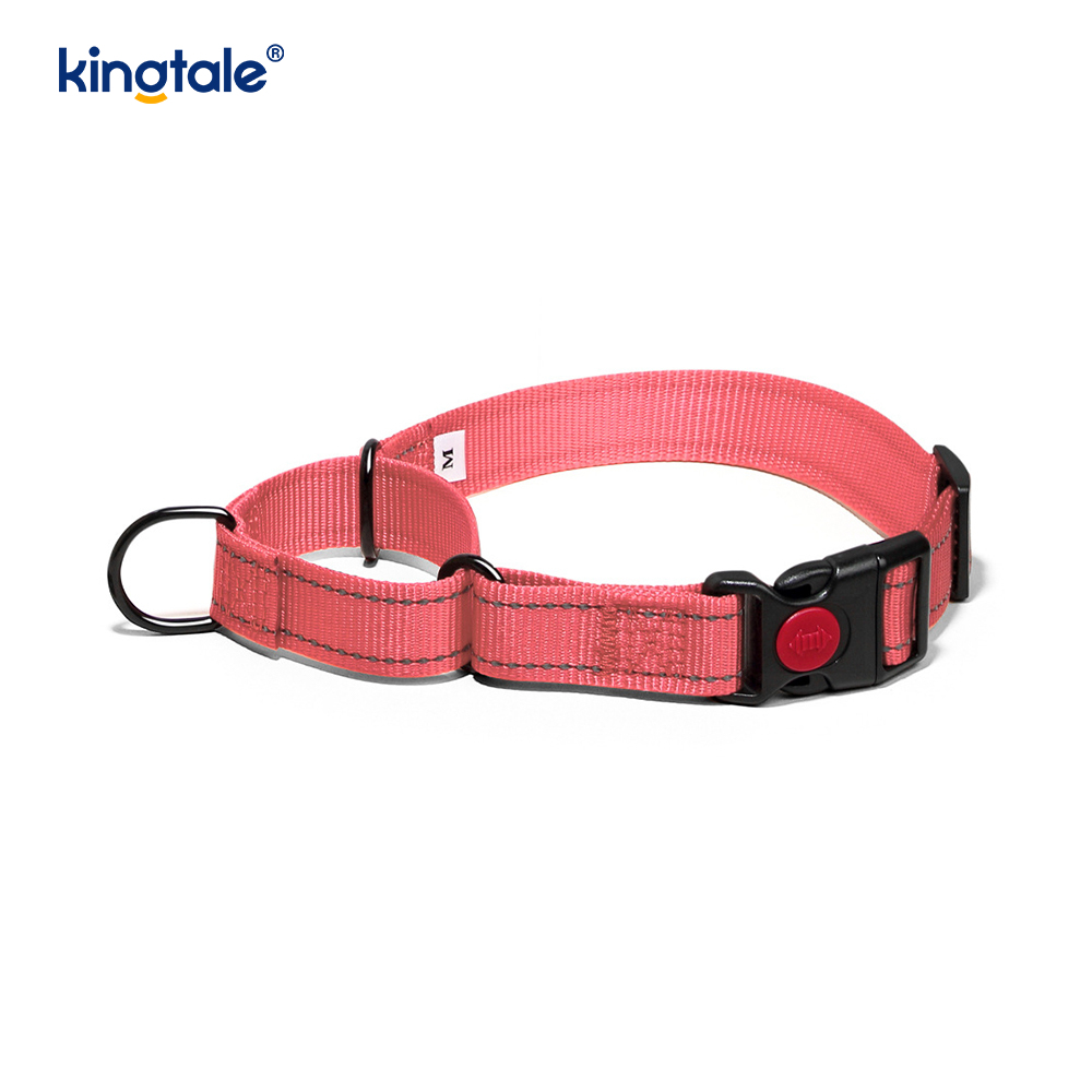 No Pull Reflekterende Justerbar Nylon Martingale Hundehalsbånd For S M A L L Hunder