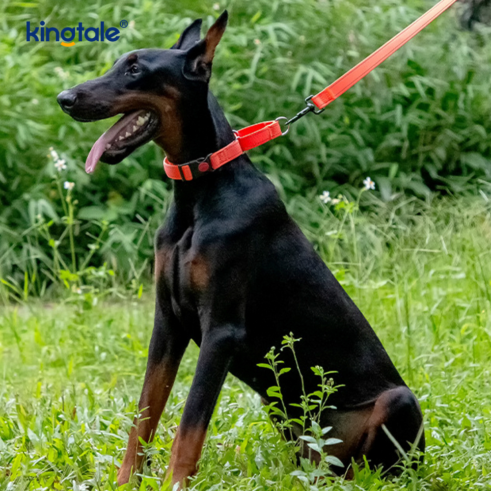 No Pull Reflekterende Justerbar Nylon Martingale Hundehalsbånd For S M A L L Hunder