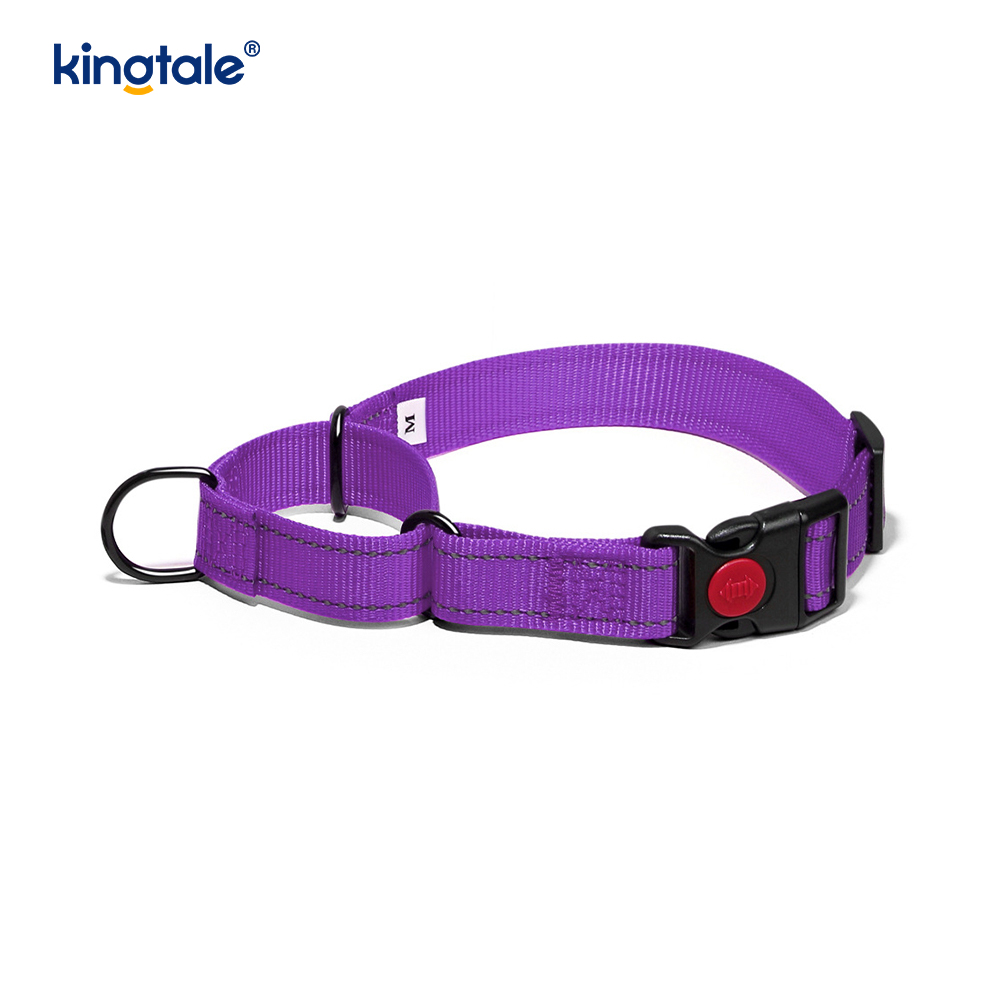No Pull Reflekterende Justerbar Nylon Martingale Hundehalsbånd For S M A L L Hunder