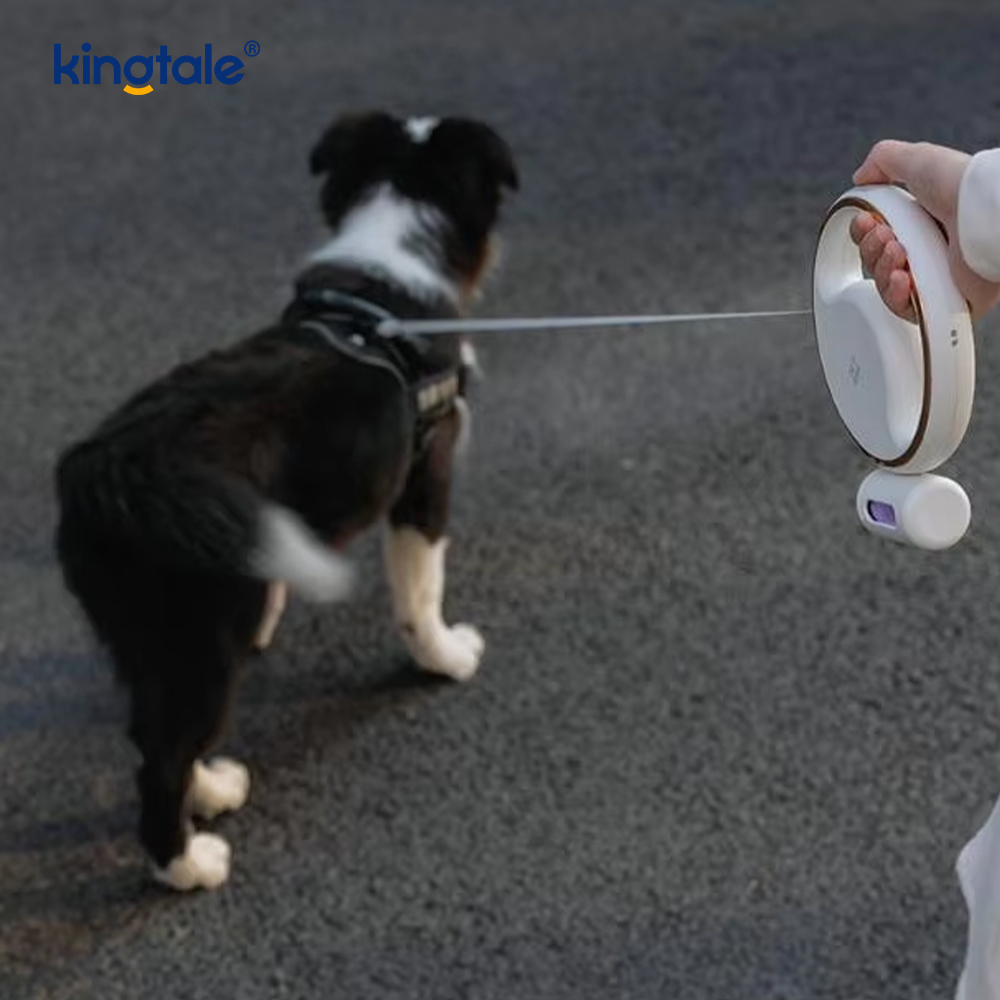 Enkel moderne LED-belysning, automatisk uttrekkbar hundehalsbånd i nylon