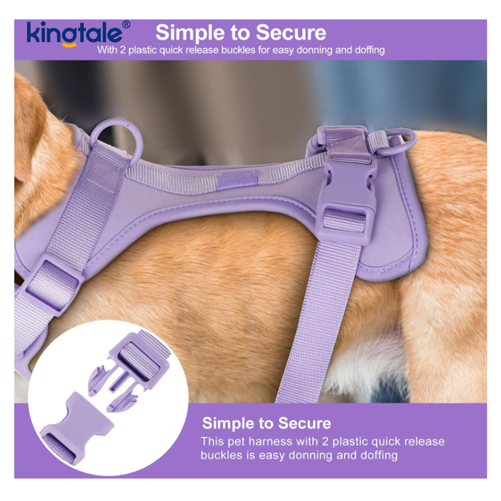 Custom Pet Justerbar Pvc No Pull Lett hundesele båndhalsbånd
