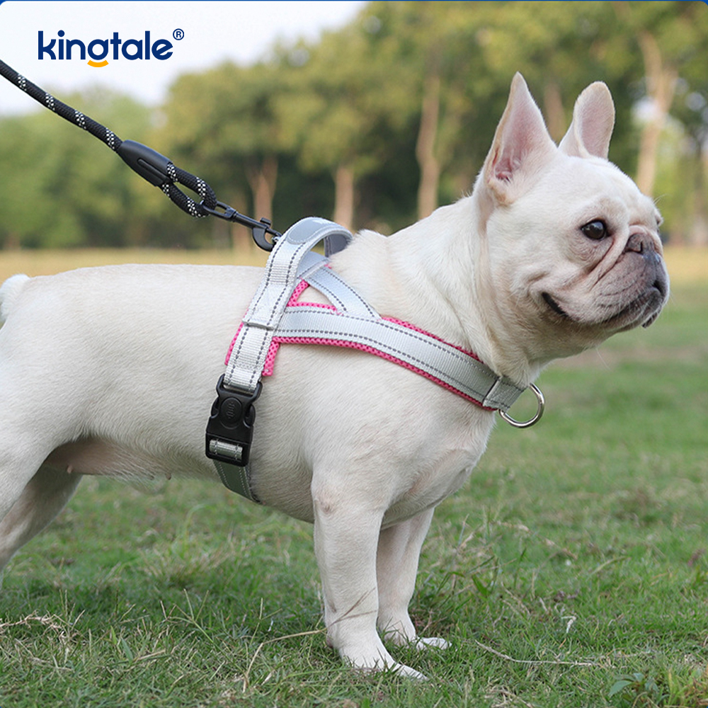Tilpasset engros justerbar nylon reflekterende hundesele minst sett