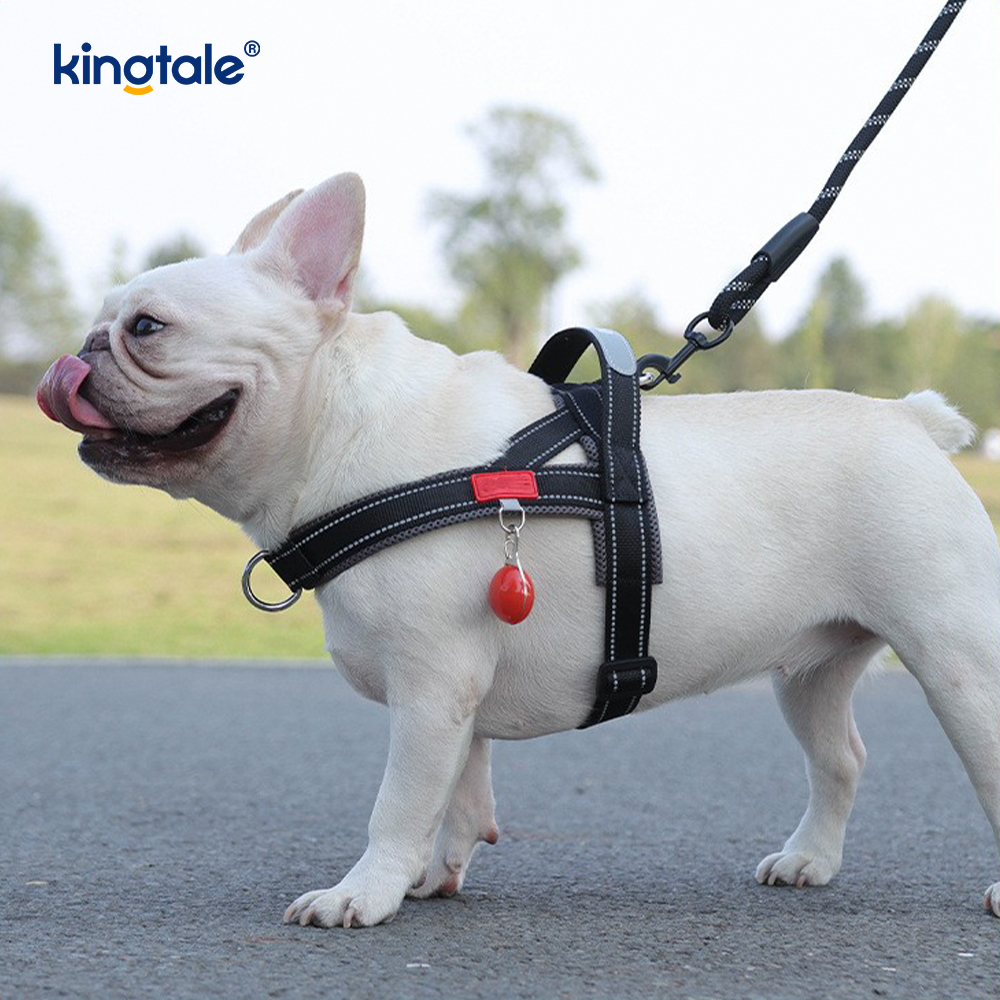 Tilpasset engros justerbar nylon reflekterende hundesele minst sett
