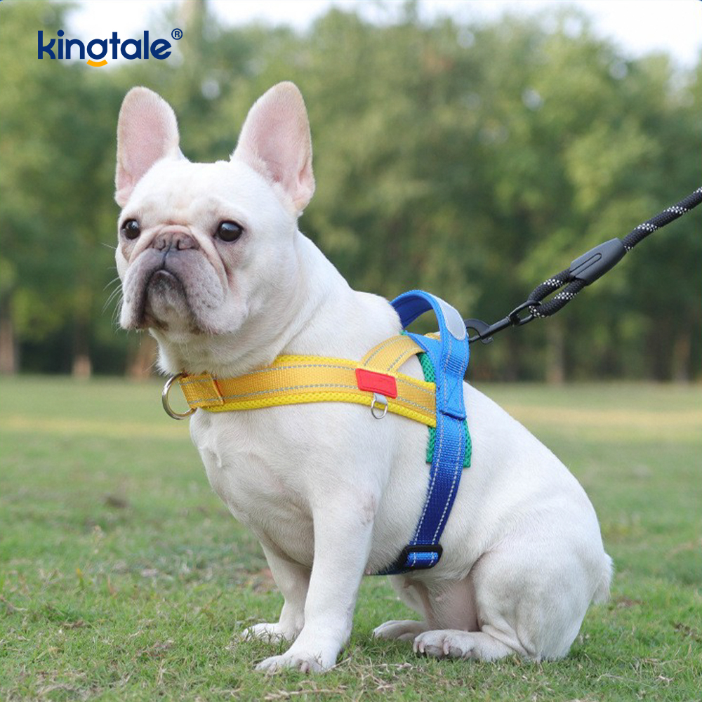 Tilpasset engros justerbar nylon reflekterende hundesele minst sett