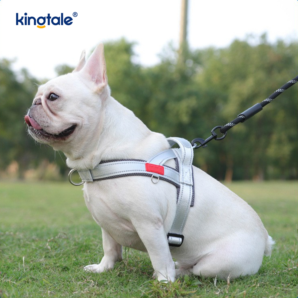 Tilpasset engros justerbar nylon reflekterende hundesele minst sett