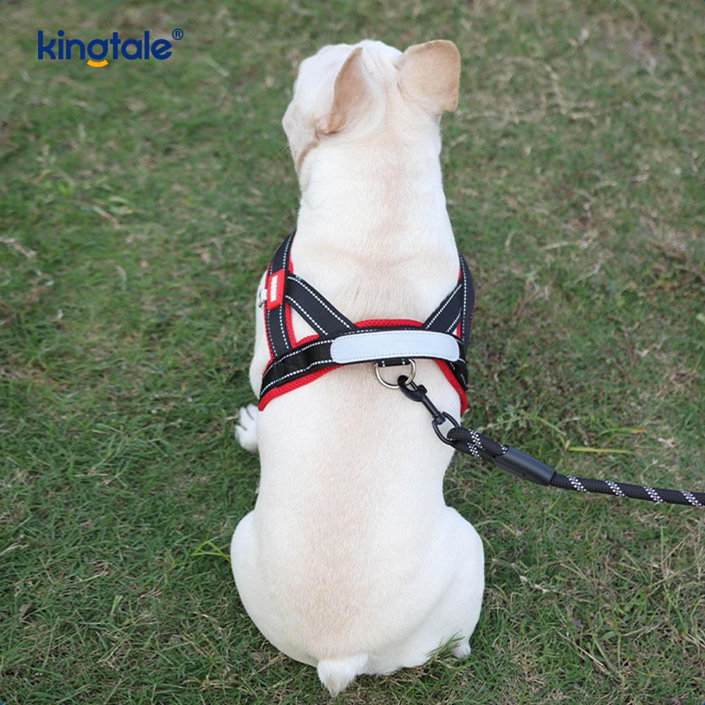 Tilpasset engros justerbar nylon reflekterende hundesele minst sett