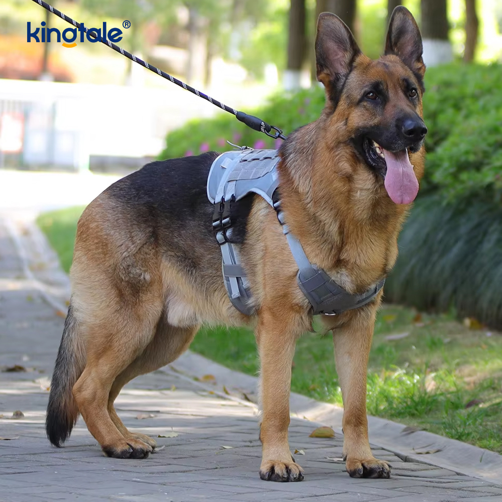 Tilpasset Heavy Duty Large Vest Mesh Pustende Justerbar Hundesele