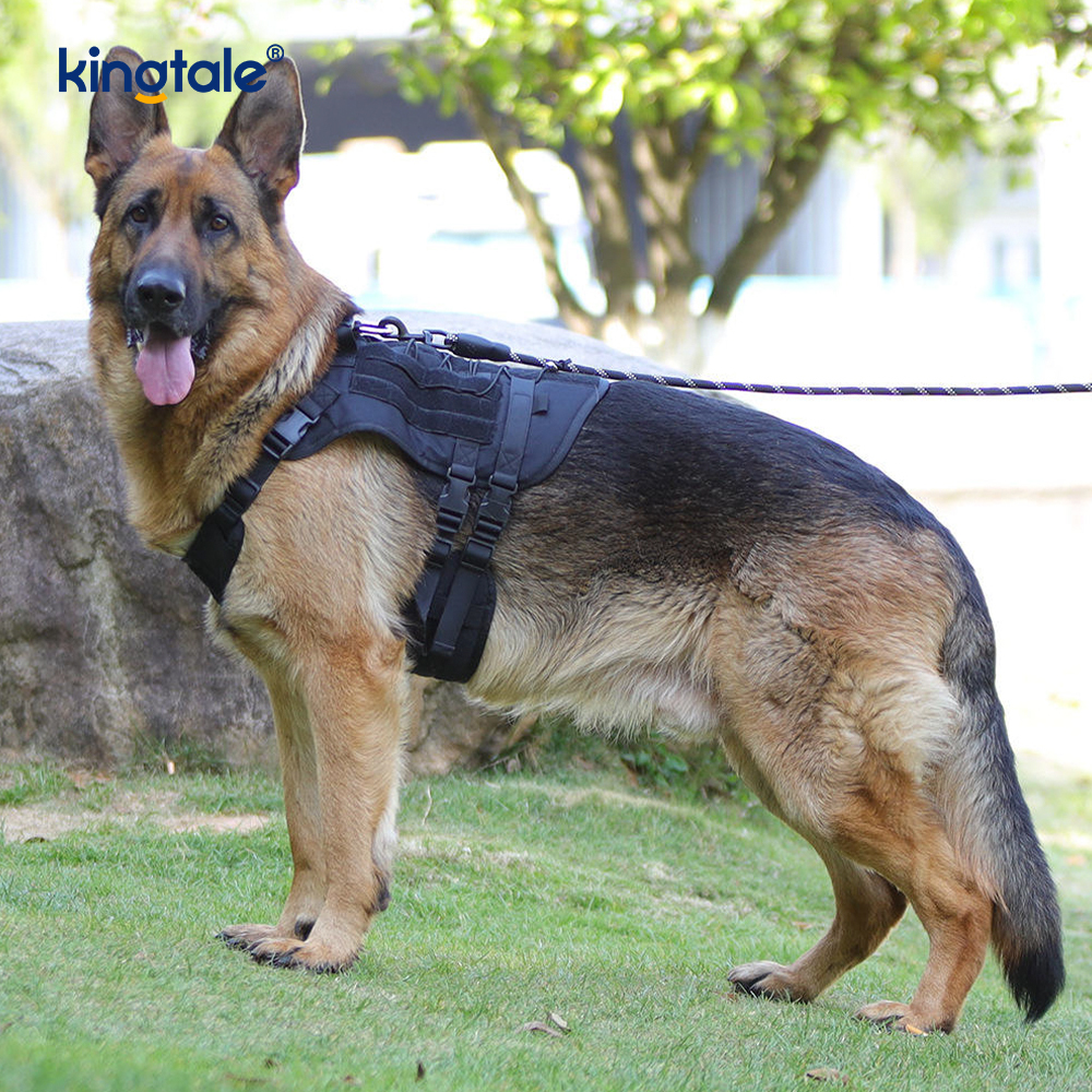 Tilpasset Heavy Duty Large Vest Mesh Pustende Justerbar Hundesele