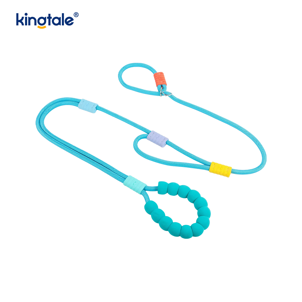 No Pull Slitesterk Justerbar Nylon Dobbelthåndtak Fargerikt Dog Slip Leash
