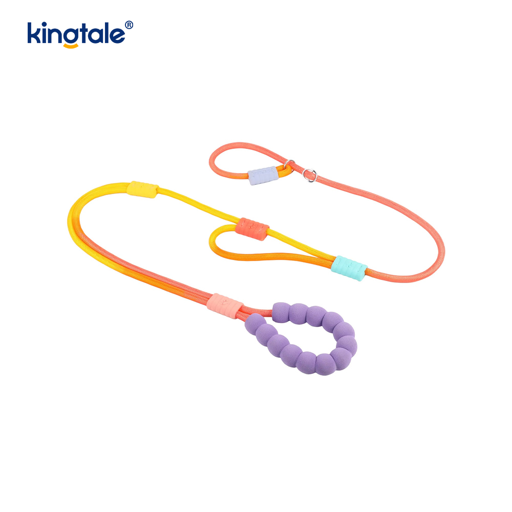 No Pull Slitesterk Justerbar Nylon Dobbelthåndtak Fargerikt Dog Slip Leash
