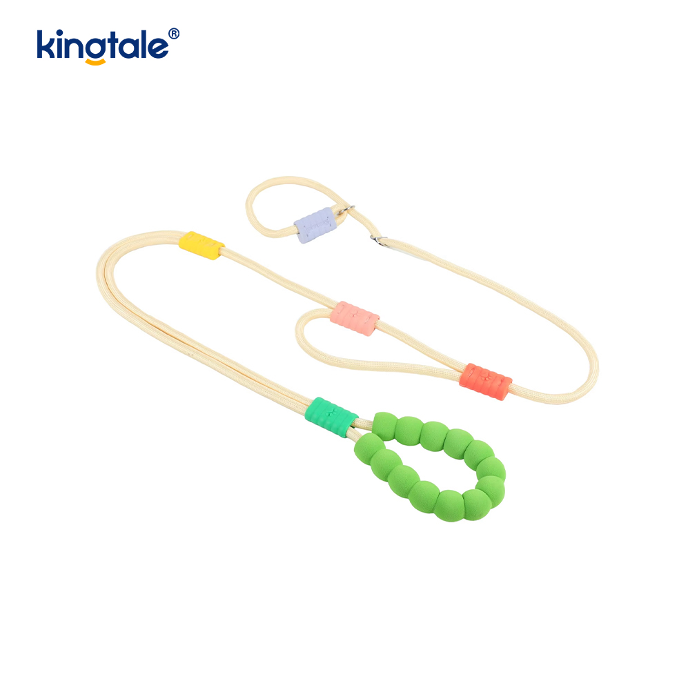 No Pull Slitesterk Justerbar Nylon Dobbelthåndtak Fargerikt Dog Slip Leash