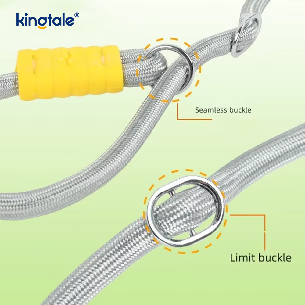 No Pull Slitesterk Justerbar Nylon Dobbelthåndtak Fargerikt Dog Slip Leash