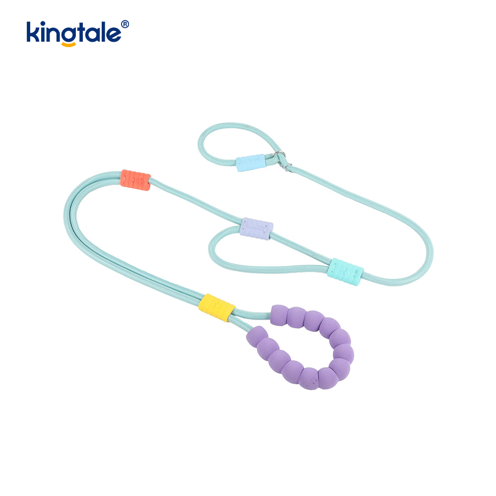 No Pull Slitesterk Justerbar Nylon Dobbelthåndtak Fargerikt Dog Slip Leash
