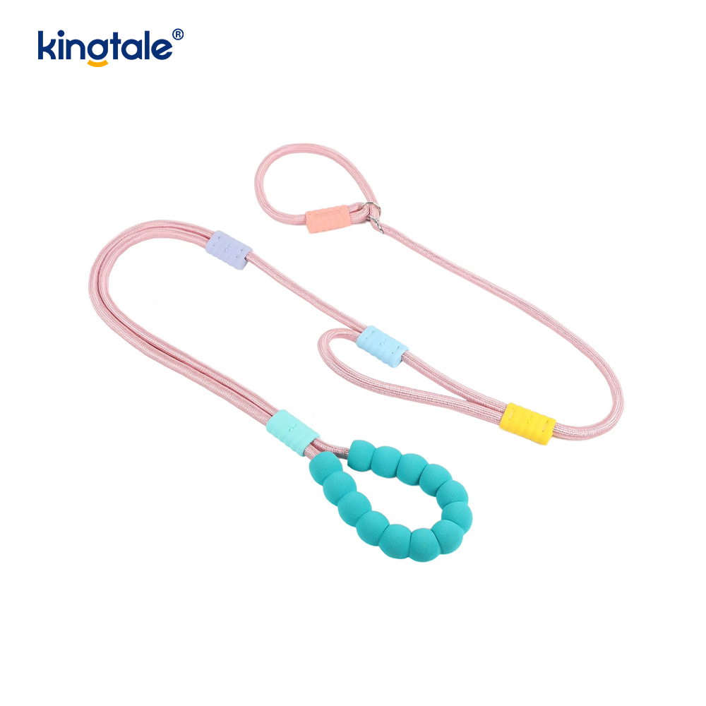 No Pull Slitesterk Justerbar Nylon Dobbelthåndtak Fargerikt Dog Slip Leash