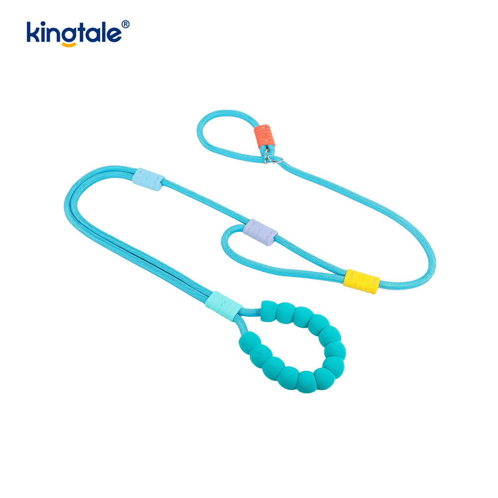 No Pull Slitesterk Justerbar Nylon Dobbelthåndtak Fargerikt Dog Slip Leash