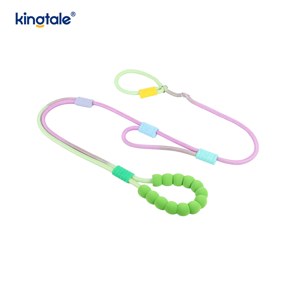 No Pull Slitesterk Justerbar Nylon Dobbelthåndtak Fargerikt Dog Slip Leash