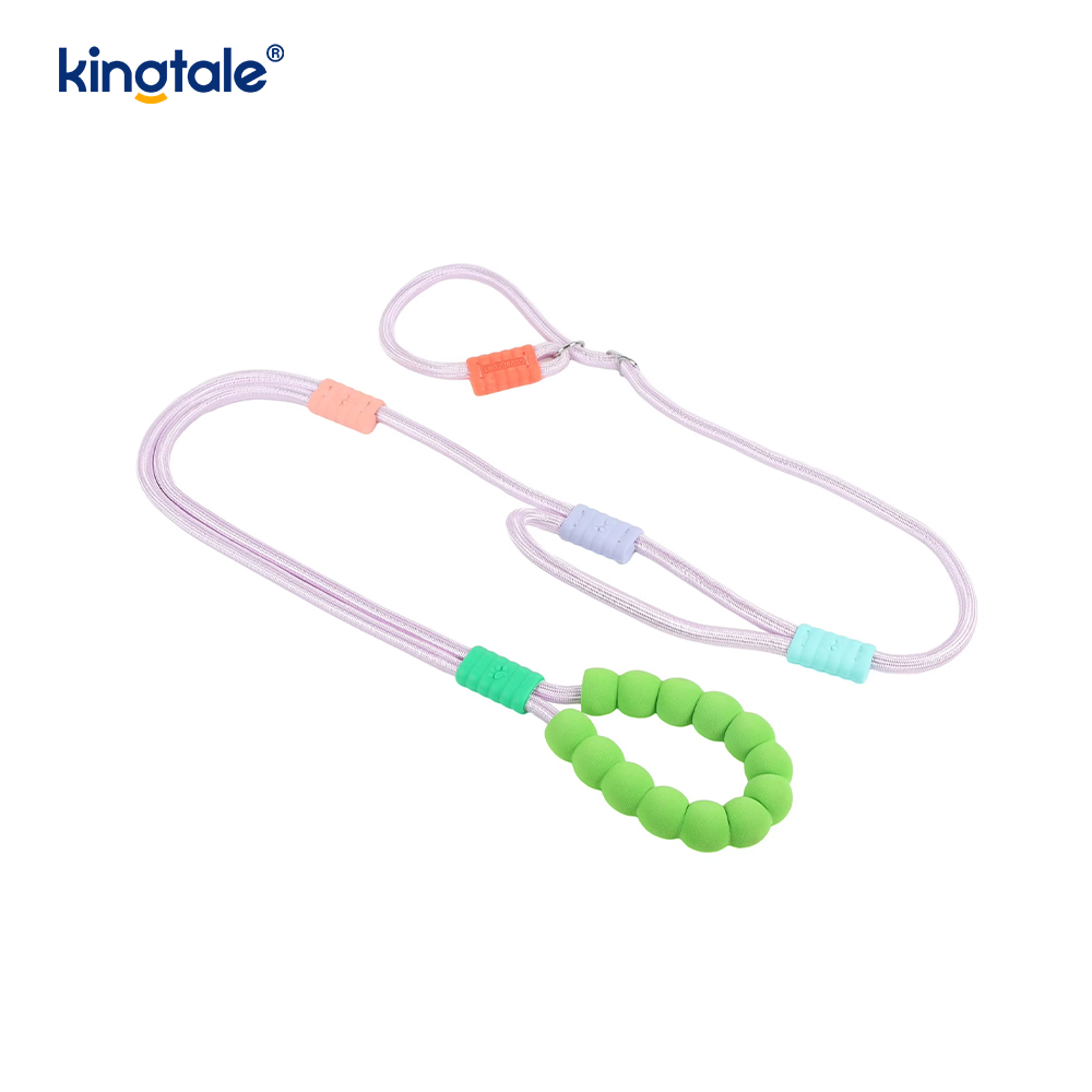 No Pull Slitesterk Justerbar Nylon Dobbelthåndtak Fargerikt Dog Slip Leash