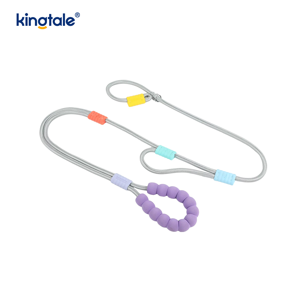 No Pull Slitesterk Justerbar Nylon Dobbelthåndtak Fargerikt Dog Slip Leash