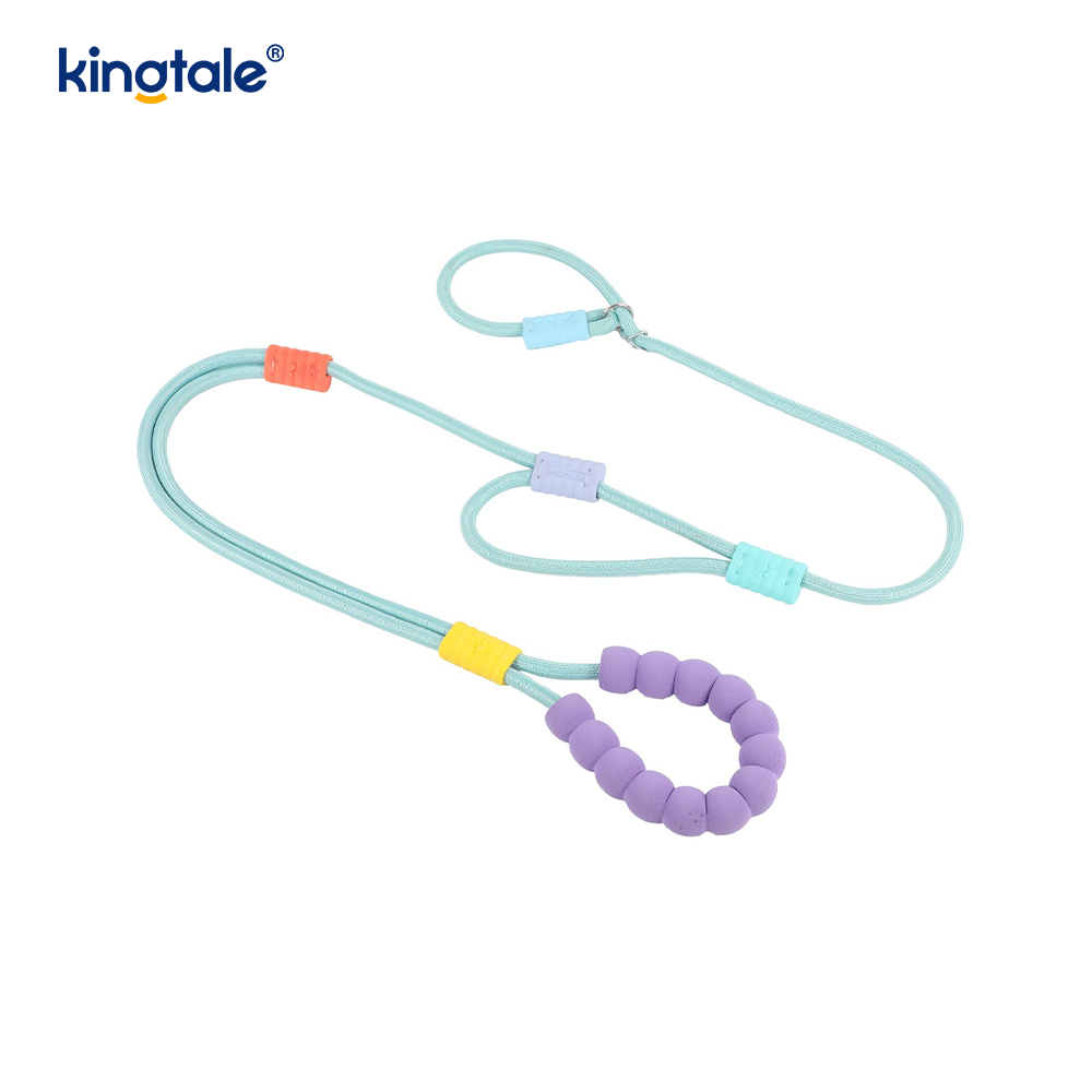 No Pull Slitesterk Justerbar Nylon Dobbelthåndtak Fargerikt Dog Slip Leash