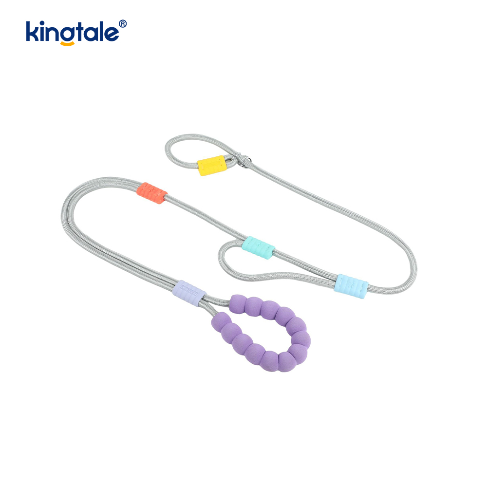 No Pull Slitesterk Justerbar Nylon Dobbelthåndtak Fargerikt Dog Slip Leash