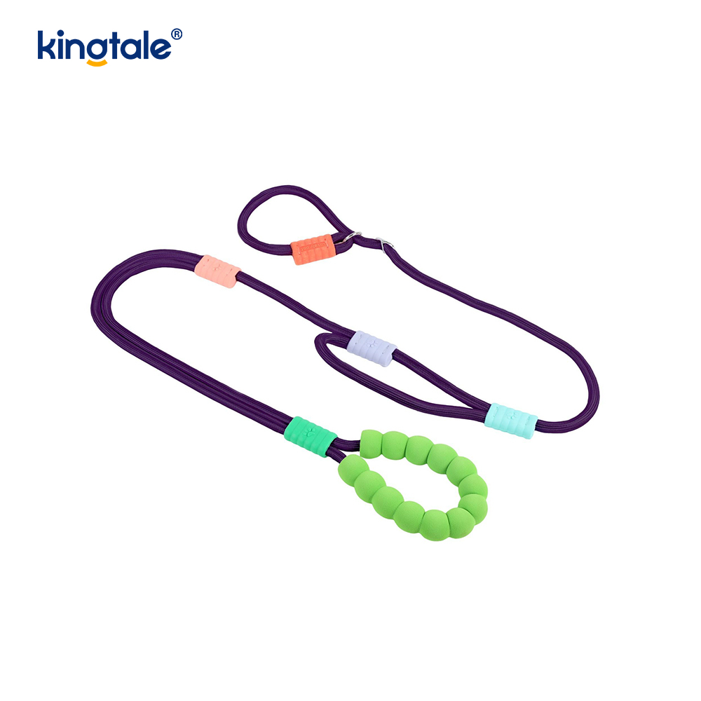 No Pull Slitesterk Justerbar Nylon Dobbelthåndtak Fargerikt Dog Slip Leash