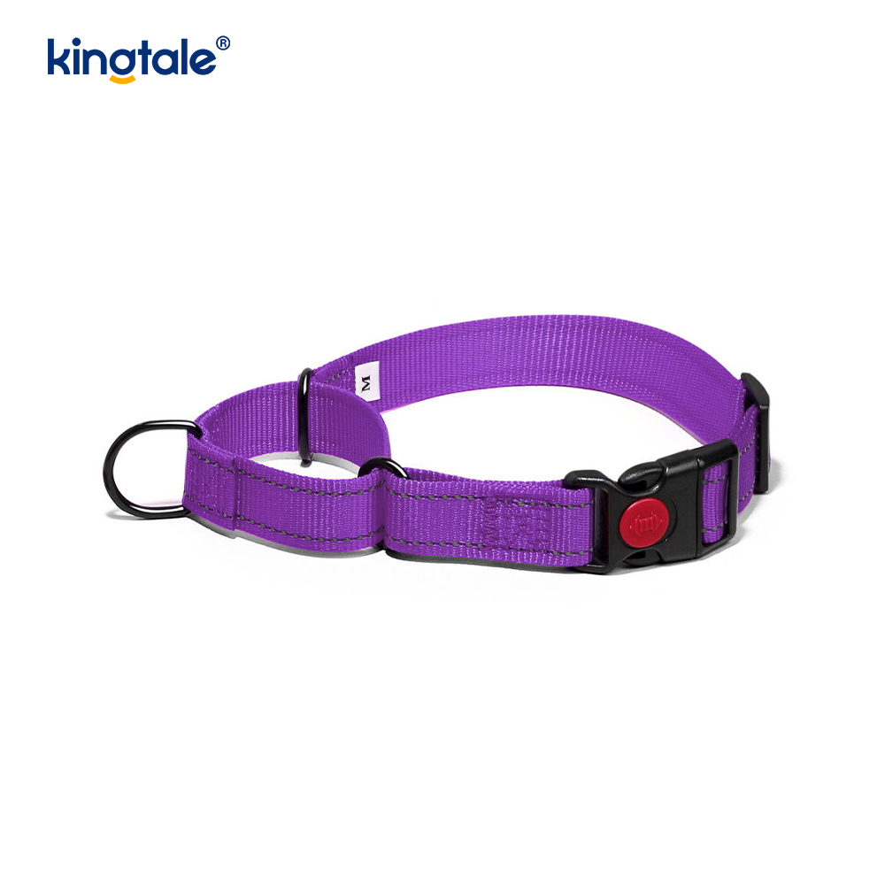 Quick Release No Pull Reflekterende Justerbar Nylon Martingale Hundehalsbånd