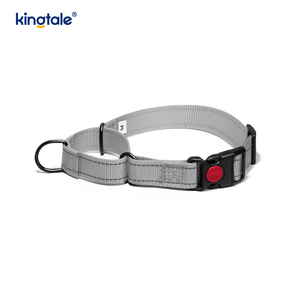 Quick Release No Pull Reflekterende Justerbar Nylon Martingale Hundehalsbånd