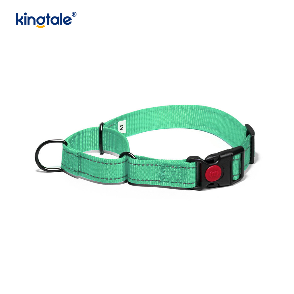 Quick Release No Pull Reflekterende Justerbar Nylon Martingale Hundehalsbånd
