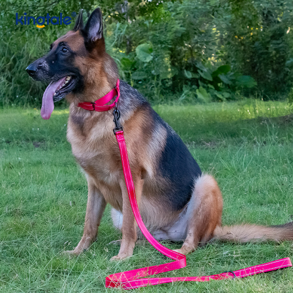 Quick Release No Pull Reflekterende Justerbar Nylon Martingale Hundehalsbånd
