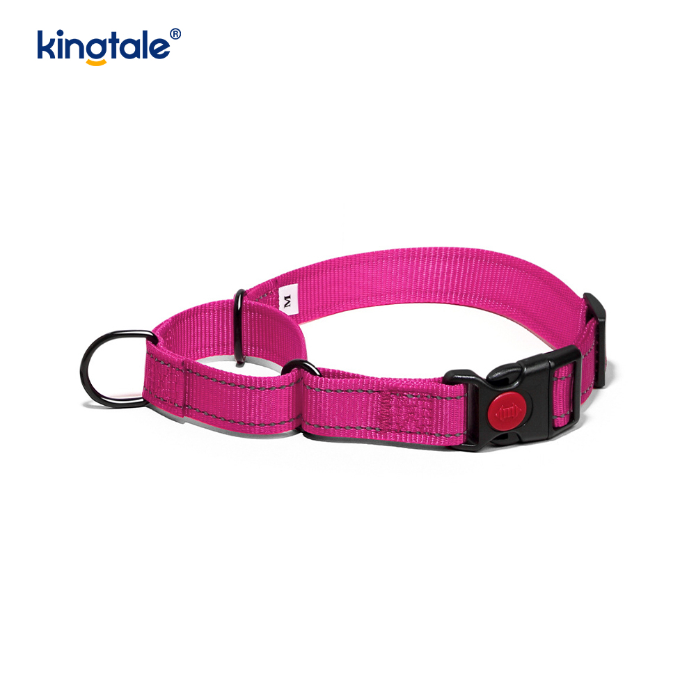 Quick Release No Pull Reflekterende Justerbar Nylon Martingale Hundehalsbånd
