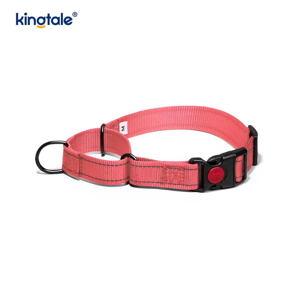 Quick Release No Pull Reflekterende Justerbar Nylon Martingale Hundehalsbånd