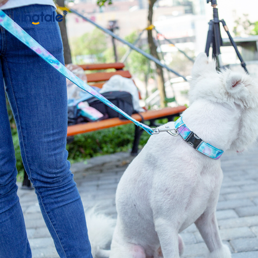 Drømmende stjernehimmel kjæledyr halsbånd Amazon-stil hundekjede bånd