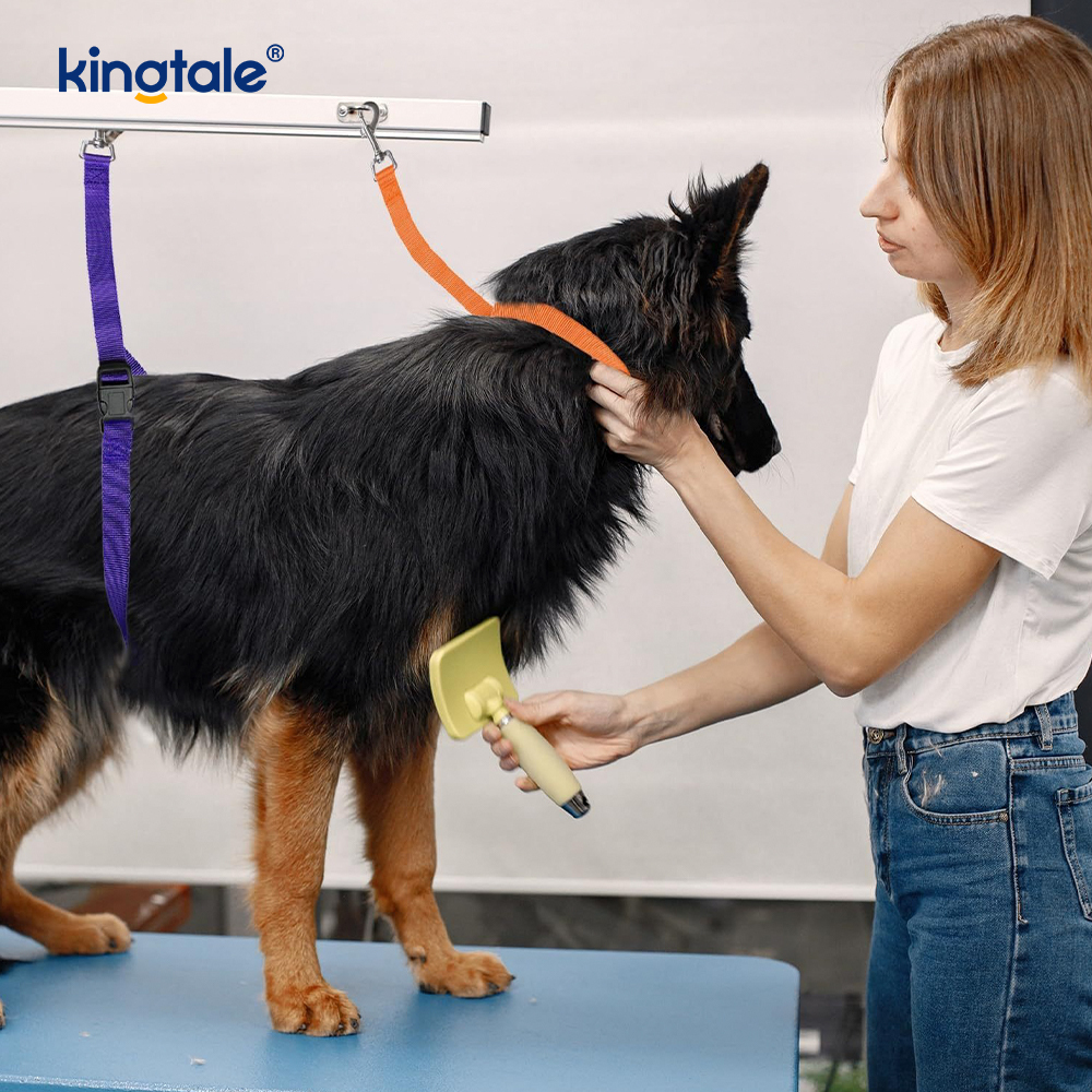 Engros Pet Grooming Restraint Leash Justerbar sikkerhetsstropp