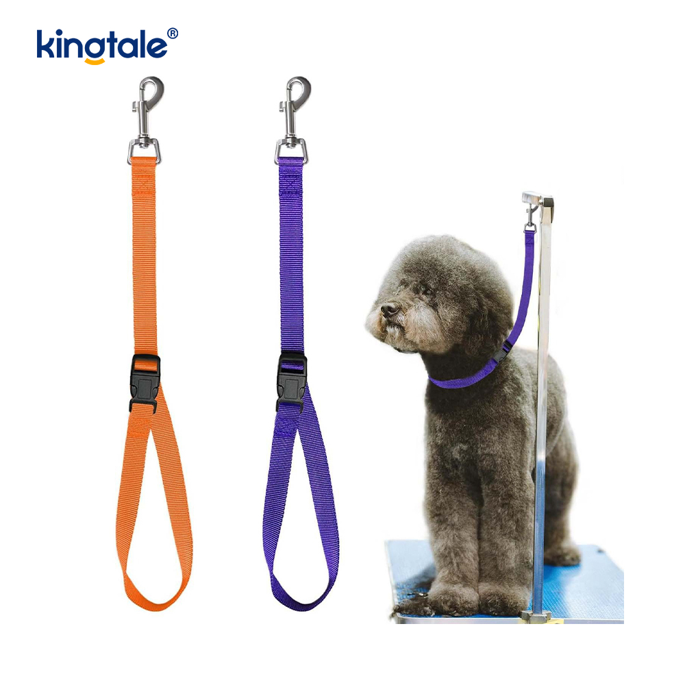 Engros Pet Grooming Restraint Leash Justerbar sikkerhetsstropp